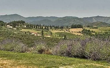 Suite Accommodation Pensionat Lucca
