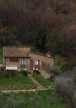 Pensión Suite Accommodation