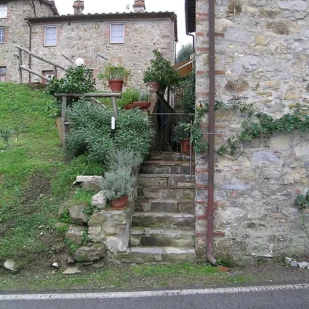 Suite Accommodation 3* Lucca