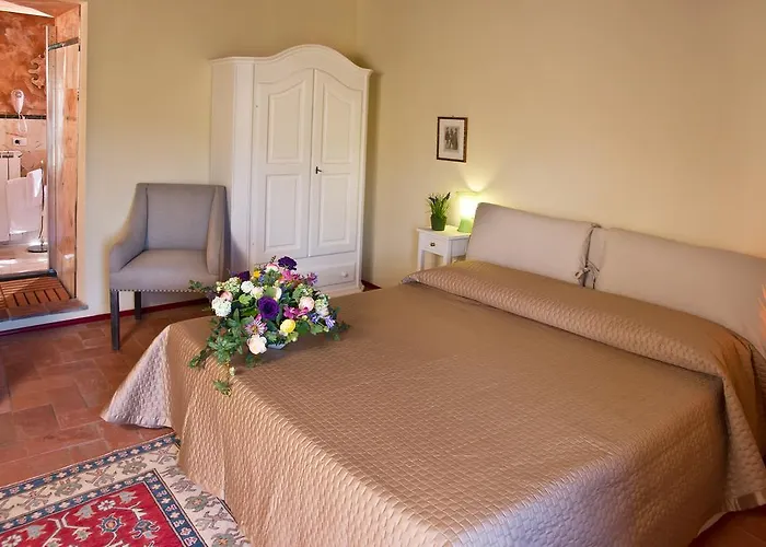 Suite Accommodation 게스트하우스 3*